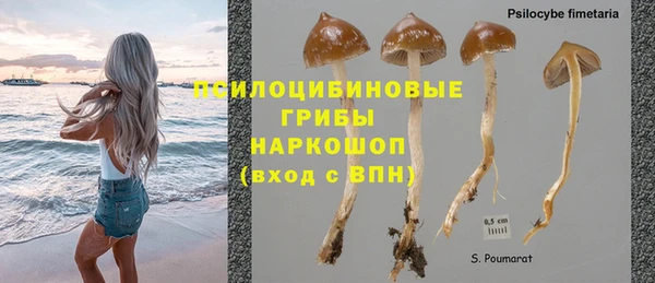 скорость Нея
